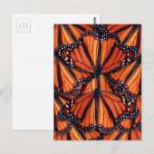 monarch vlinder - postkaart (Voorkant / Achterkant)