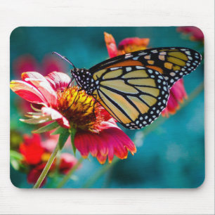 Monarch Vlinder Rode Bloem Muismat