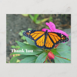 Monarch Vlinder Roze Bloem Foto Bedankt Briefkaart