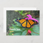 Monarch Vlinder Roze Bloem Foto Bedankt Briefkaart (Voorkant / Achterkant)
