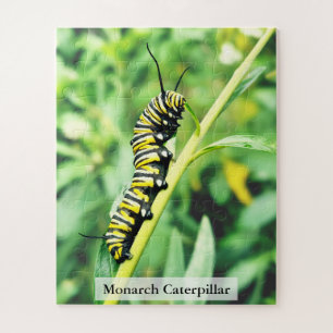 Monarch Vlinder Rups op Zwanenplant 56 Stuks Legpuzzel