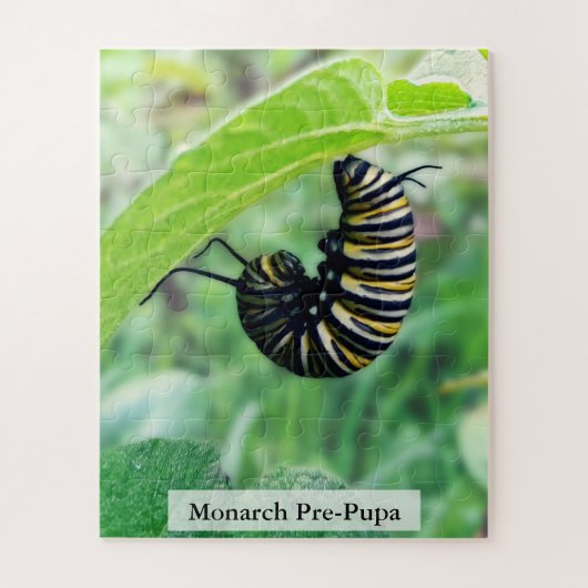 Monarch Vlinder Rups Pre-Pop Stadium 56 stuks Legpuzzel (Verticaal)