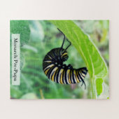 Monarch Vlinder Rups Pre-Pop Stadium 56 stuks Legpuzzel (Horizontaal)