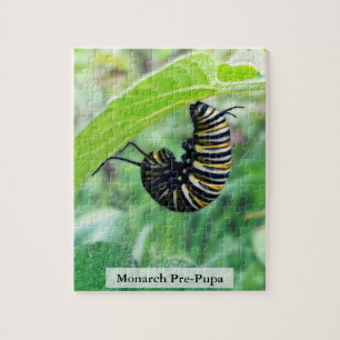 Monarch Vlinder Rups Pre-Popa 110 Stuks Legpuzzel