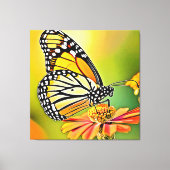 Monarch Vlinder Sip Design Canvas Afdruk (Voorkant)