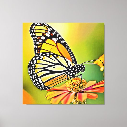 Monarch Vlinder Sip Design Canvas Afdruk (Voorkant)