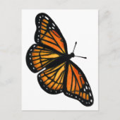 Monarch vlinder tekening gekleurd potlood briefkaart (Voorkant)