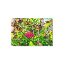 Monarch Vlinders 36 x 24 Uitgerekte Canvas Print