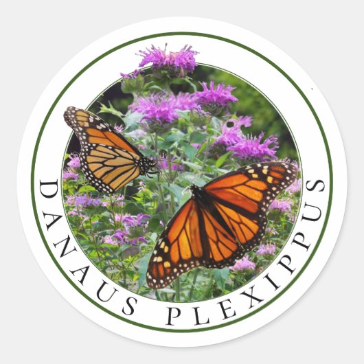 Monarch Vlinders en Bee Balm Monarda Ronde Sticker (Voorkant)