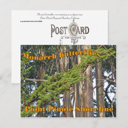 Monarch vlinders op Point Pinole - Briefkaart (Voorkant / Achterkant)