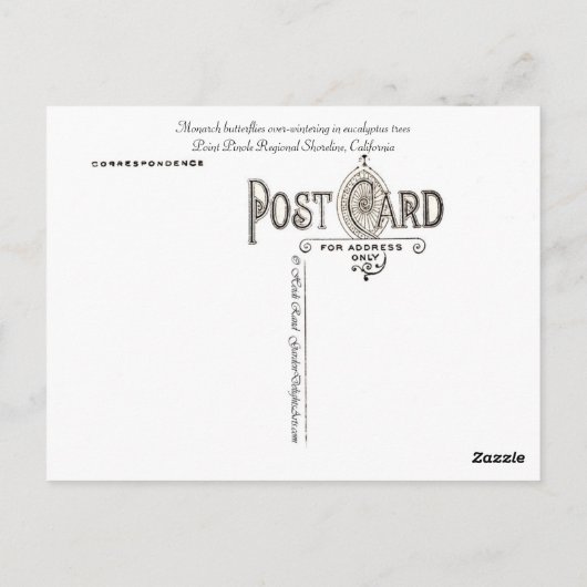 Monarch vlinders op Point Pinole - Briefkaart (Achterkant)