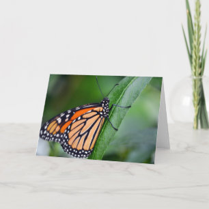Monarch Wenskaart Kaart