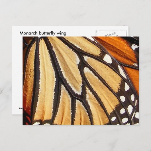 Monarch Wing ~ briefkaart (Voorkant / Achterkant)
