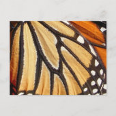Monarch Wing ~ briefkaart (Voorkant)