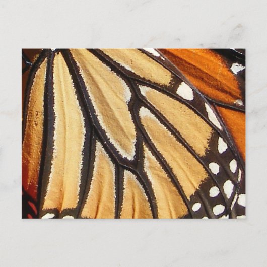 Monarch Wing ~ briefkaart (Voorkant)