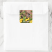 Monarch Wings - Hond en Vlinder Stickers (Tas)