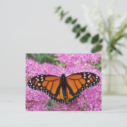 Monarch Wings on Pink - Butterfly Briefkaart (Staand voorkant)