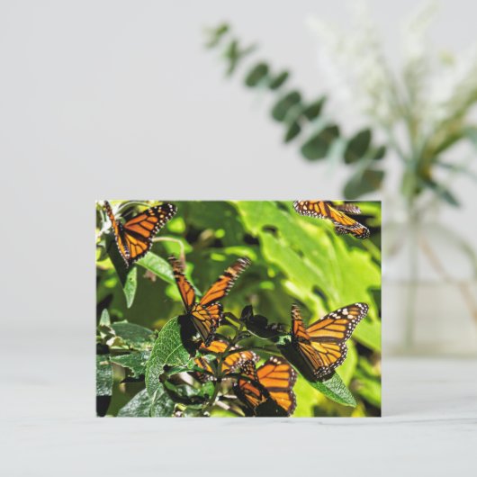 Monarchen Briefkaart (Staand voorkant)