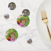 Monarchen Confetti (Groep)