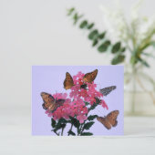 Monarchen en roze penta briefkaart (Staand voorkant)