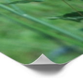 Monarchen op de vlinderdarm poster (Hoek)