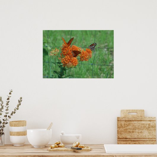 Monarchen op de vlinderdarm poster (Keuken)