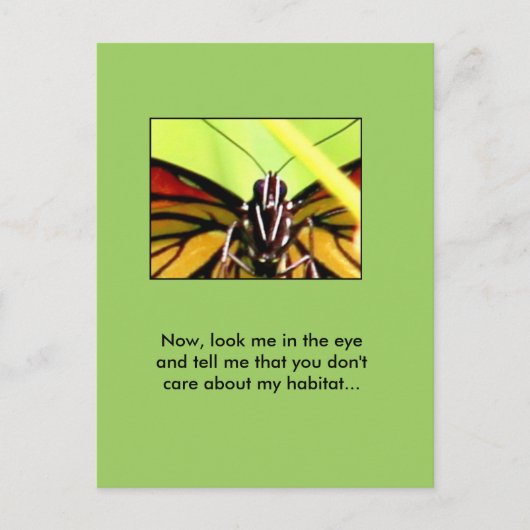 Monarch's bericht briefkaart (Voorkant)