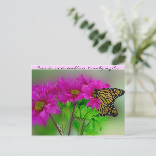 Monarchs & Daisies Postcard Briefkaart (Staand voorkant)