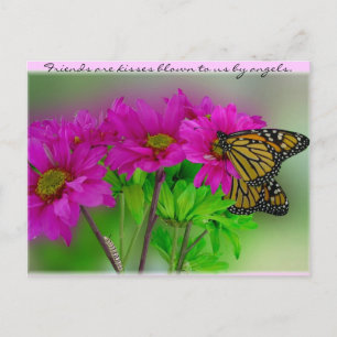 Monarchs & Daisies Postcard Briefkaart