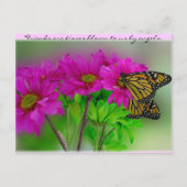 Monarchs & Daisies Postcard Briefkaart (Voorkant)