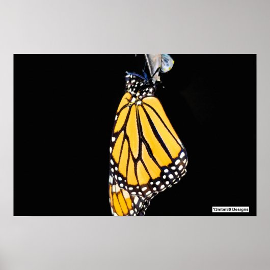 Monarchvlinder 2022 - Poster (Voorkant)