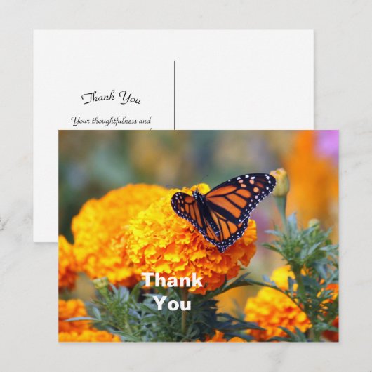 Monarchvlinder Afdranken Foto Bedankt Briefkaart (Voorkant / Achterkant)