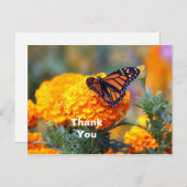 Monarchvlinder Afrikaantje Foto Bedankt Briefkaart (Voorkant / Achterkant)
