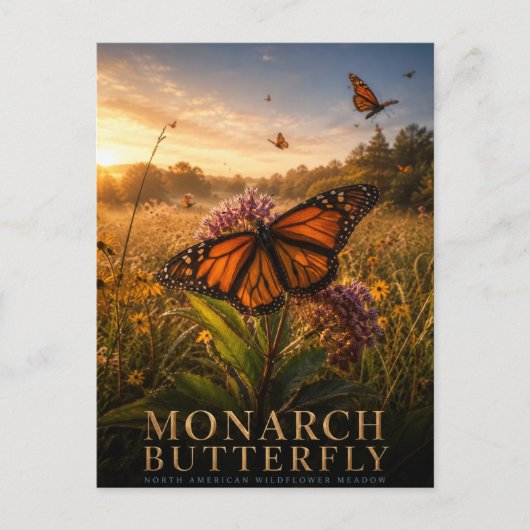 Monarchvlinder Bloemenweide DIEREN Briefkaart (Voorkant)