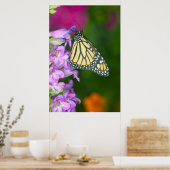 Monarchvlinder | Danaus Plexippus Poster (Keuken)