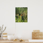 Monarchvlinder Foto Poster (Keuken)