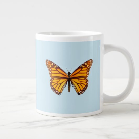Monarchvlinder Grote Koffiekop (Rechts)