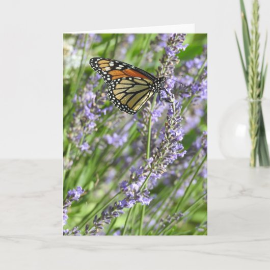 Monarchvlinder in een lavendelveld blanco kaart (Voorkant)