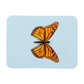 Monarchvlinder Magneet (Horizontaal)
