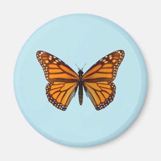 Monarchvlinder Magneet (Voorkant)