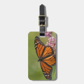 Monarchvlinder mannetje op moeraszijde bagagelabel (Voorkant verticaal)
