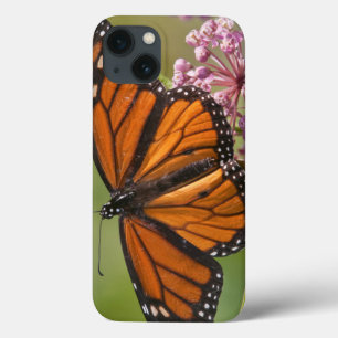 Monarchvlinder mannetje op moeraszijde Case-Mate iPhone case