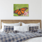 Monarchvlinder mannetje op moeraszijdebloem canvas afdruk (Insitu (Slaapkamer))