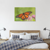 Monarchvlinder mannetje op moeraszijdebloem canvas afdruk (Insitu (Slaapkamer))