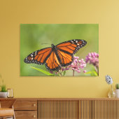 Monarchvlinder mannetje op moeraszijdebloem canvas afdruk (Insitu (Woonkamer))