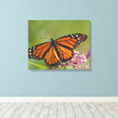 Monarchvlinder mannetje op moeraszijdebloem canvas afdruk (Insitu (Houten vloer))