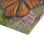 Monarchvlinder mannetje op moeraszijdebloem snijplank (Hoek)