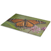 Monarchvlinder mannetje op moeraszijdebloem snijplank (Hoek)