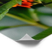 Monarchvlinder met citaat van Maya Angelou Poster (Hoek)