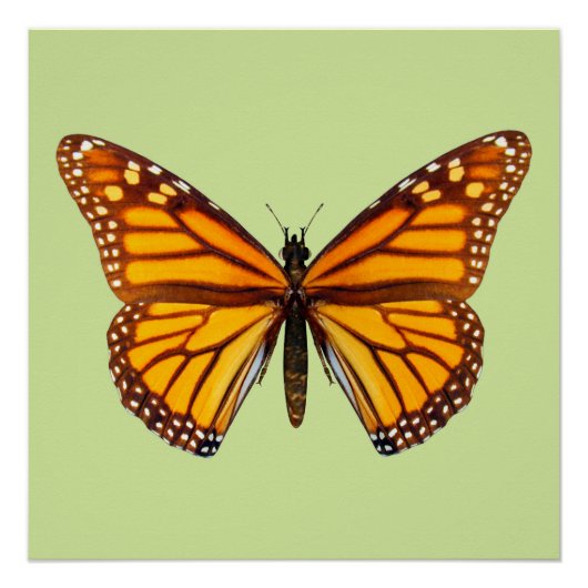 Monarchvlinder Natuurlijke Muurkunst Perfect Poster (Voorkant)